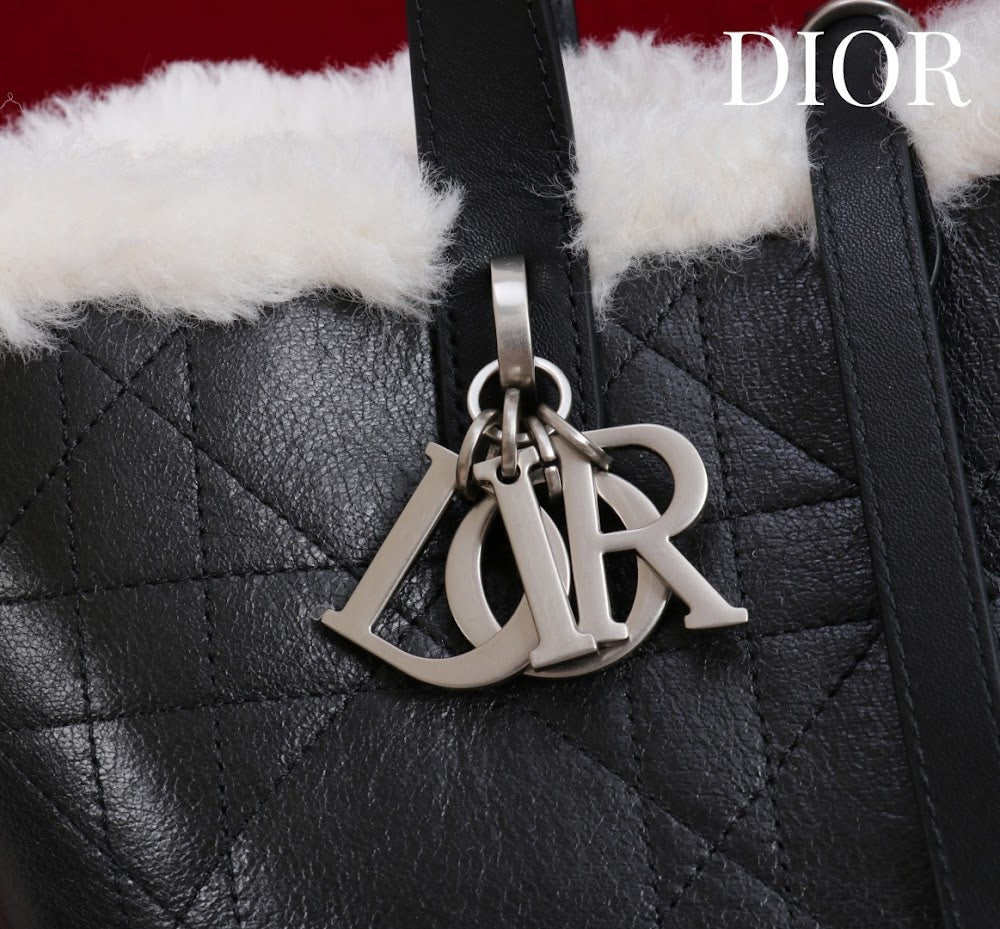 Dragons BagsDiorn Luxury Bag --114887