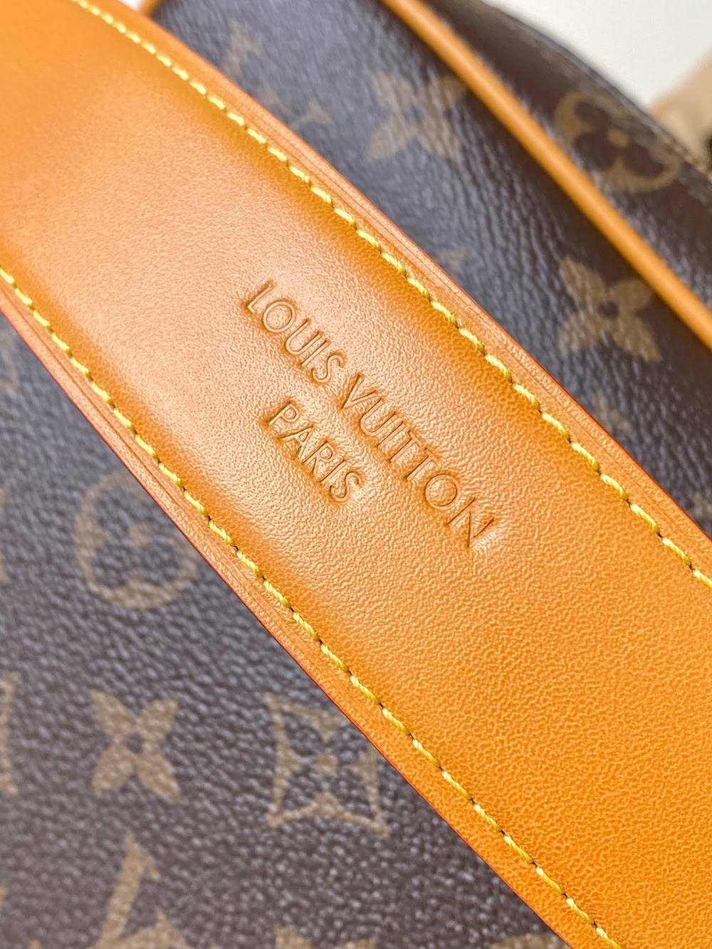 Dragons Bags ln Luxury Bag --95634