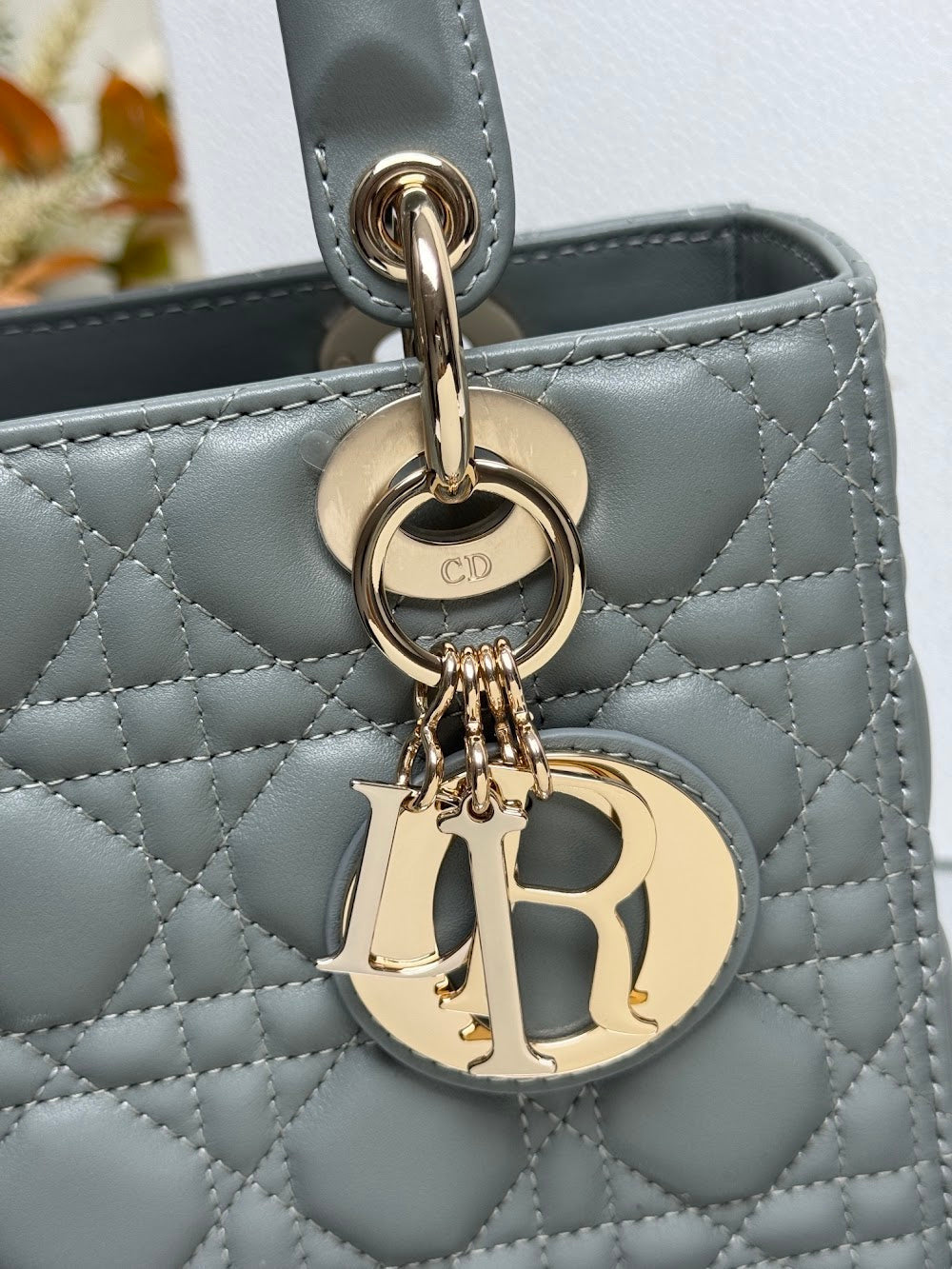 Dragons BagsDiorn Luxury Bag --116021
