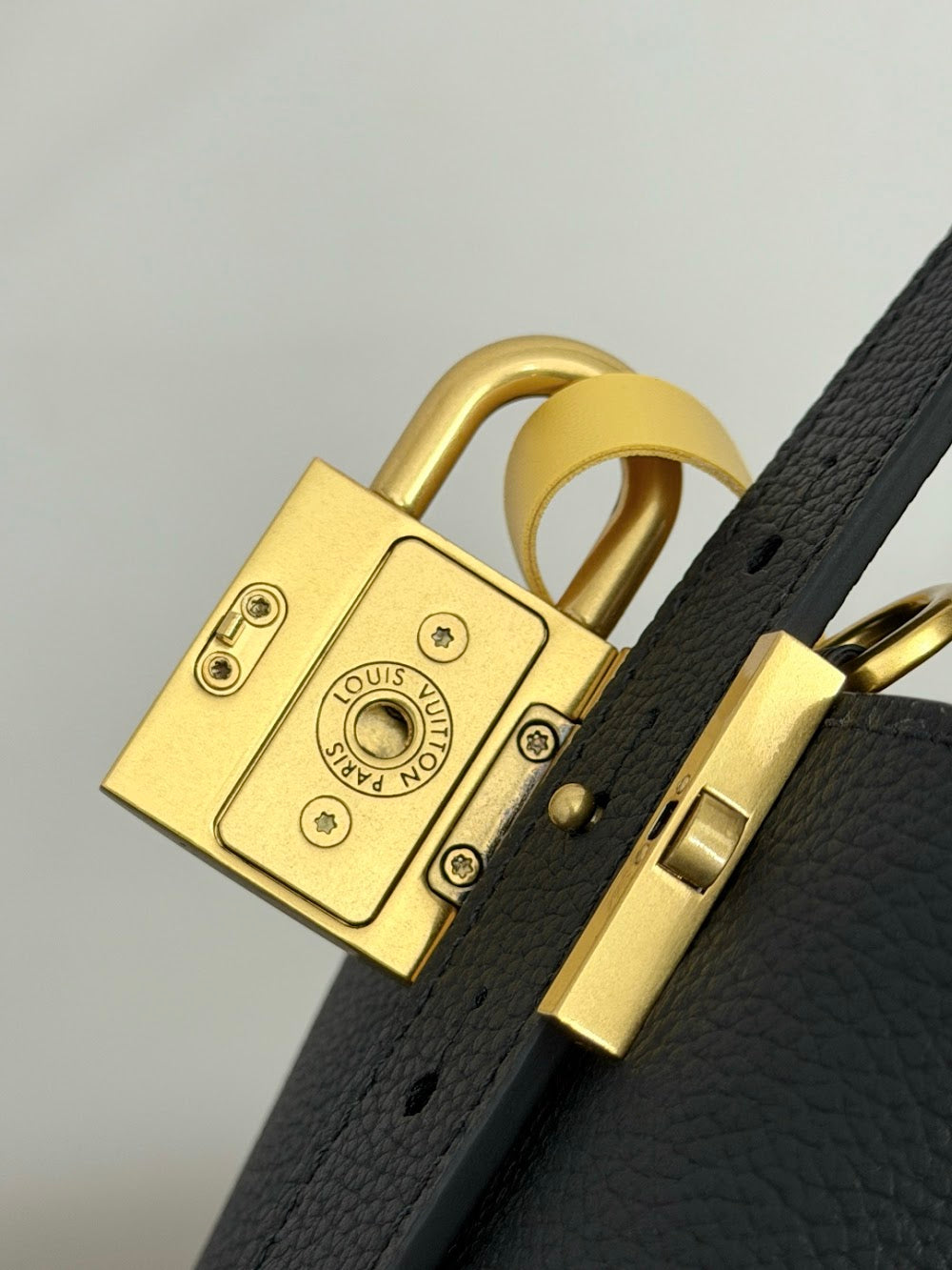 Dragons Bags ln Luxury Bag --96378