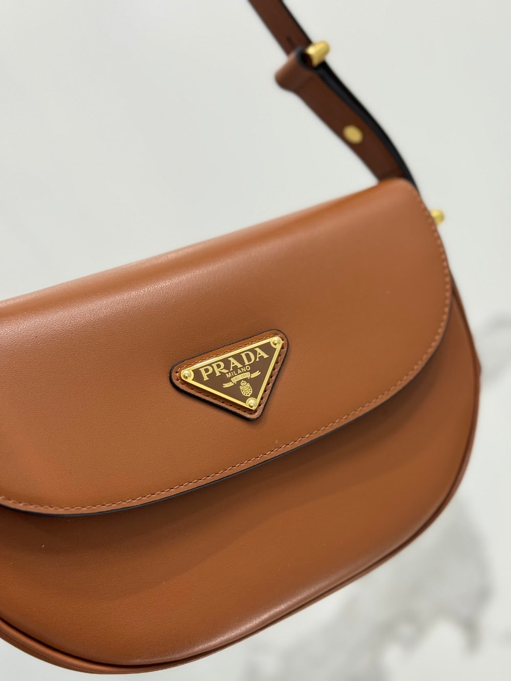 Dragons Bags Pradn Luxury Bag --102088
