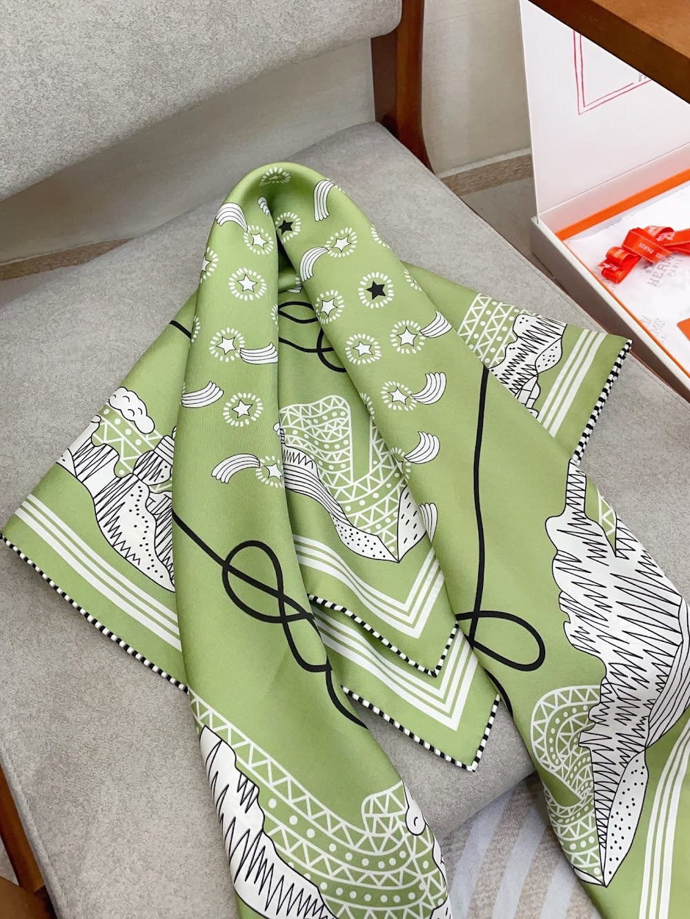 Dragons Bags Premium Designer Scarf --98825