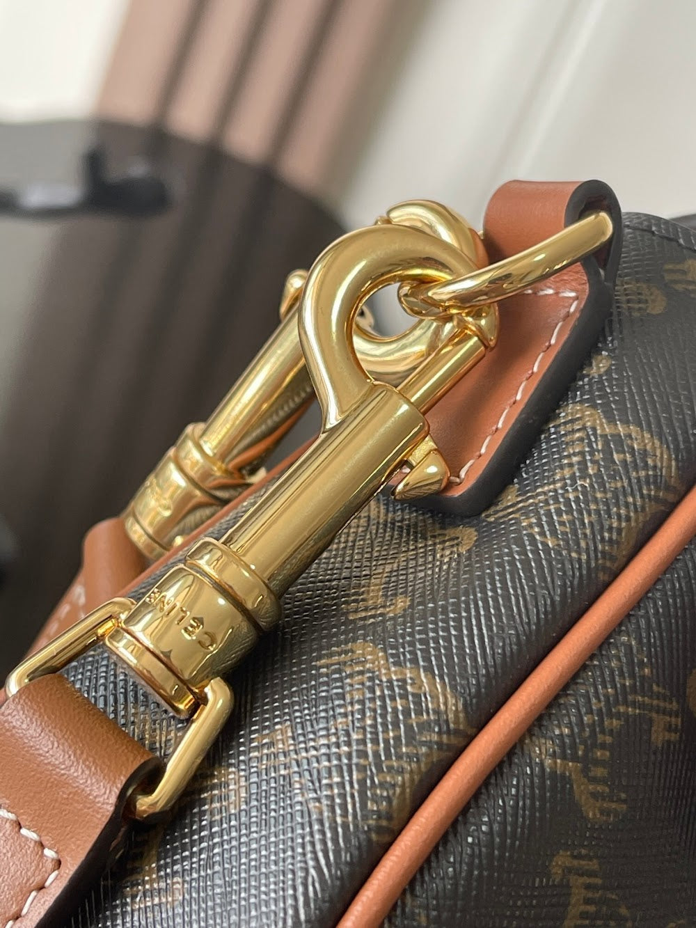 Dragons Bags Celine Luxury Bag --112364
