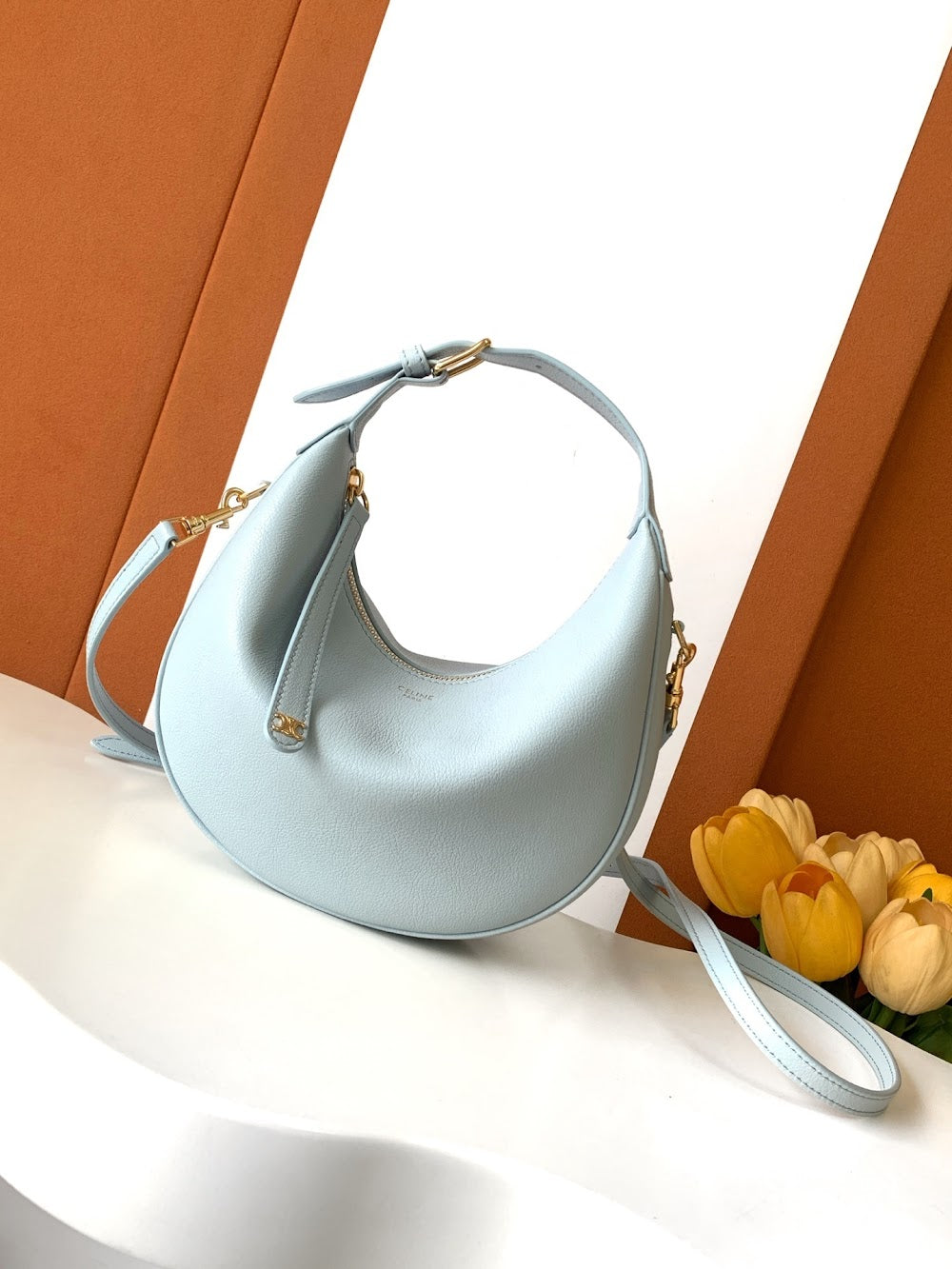 Dragons Bags Celine Luxury Bag --112075