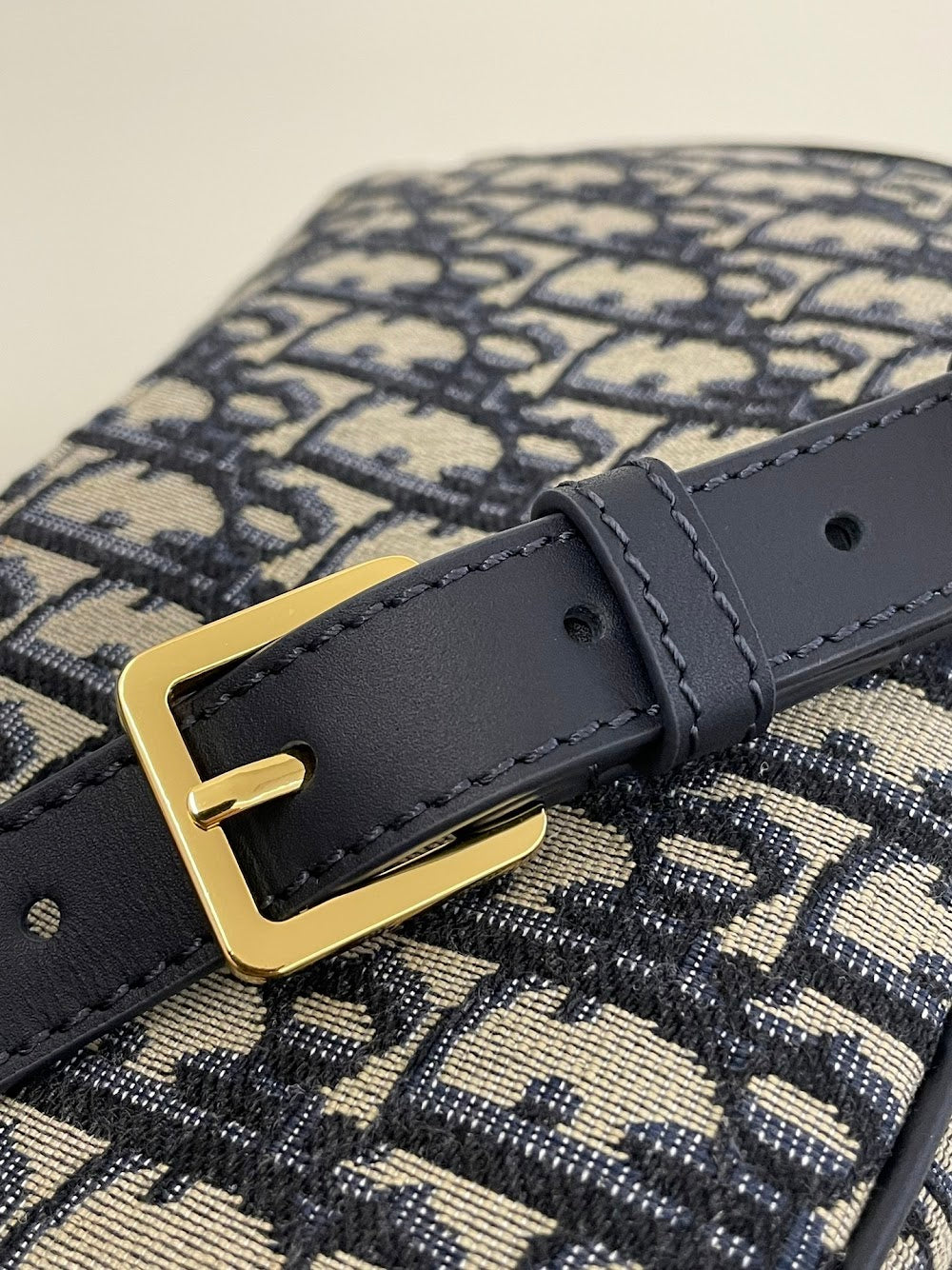 Dragons BagsDiorn Luxury Bag --115703