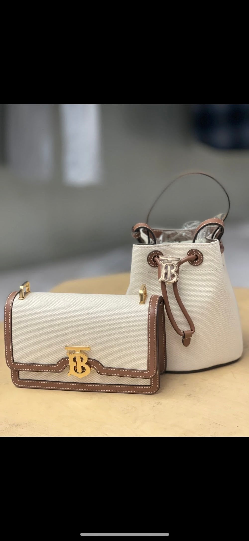 Dragons Bags Burberryn Luxury Bag --91618