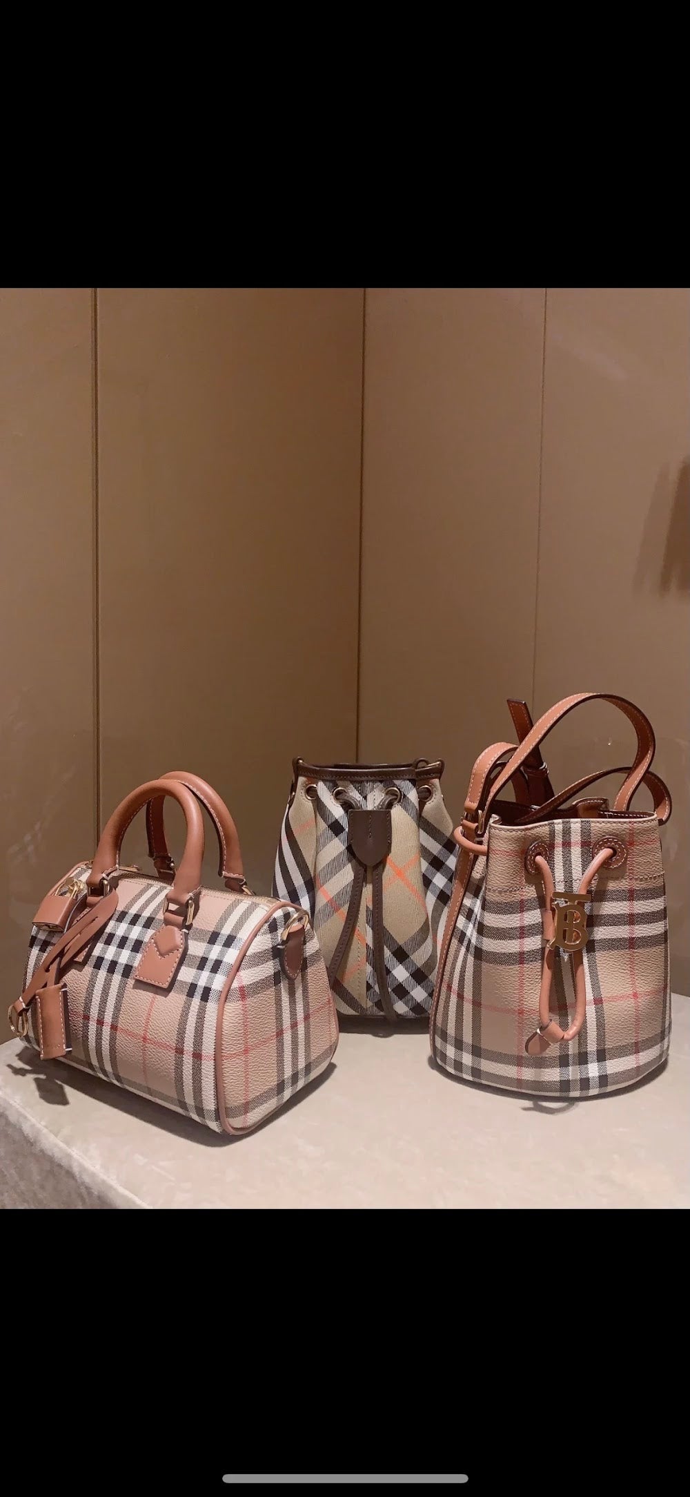 Dragons Bags Burberryn Luxury Bag --91786