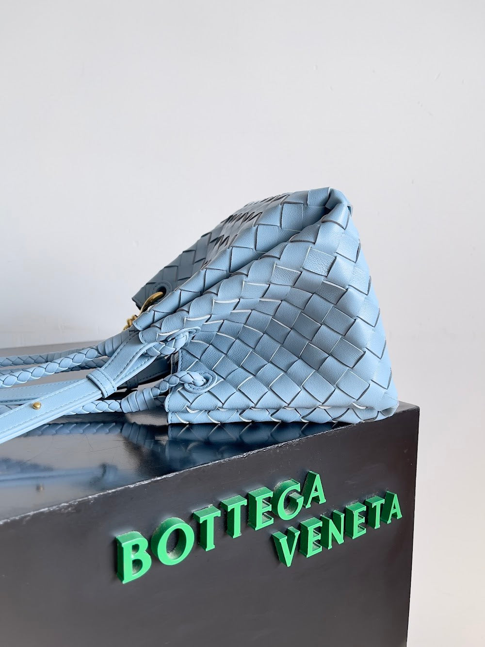 Dragons Bags Bottegan Luxury Bag --90973
