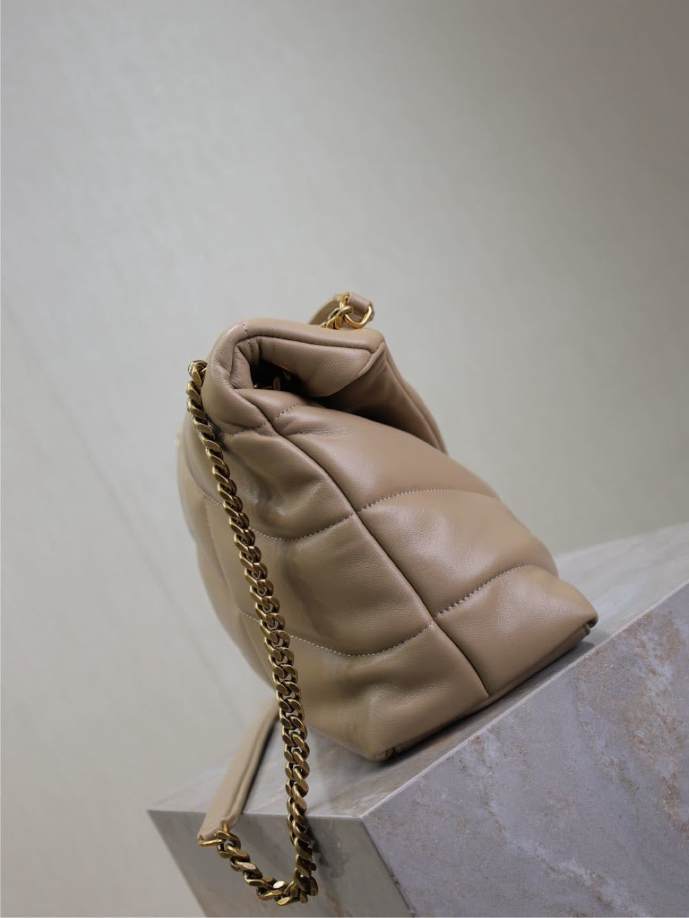 Dragons Bags YSLn Luxury Bag --119428