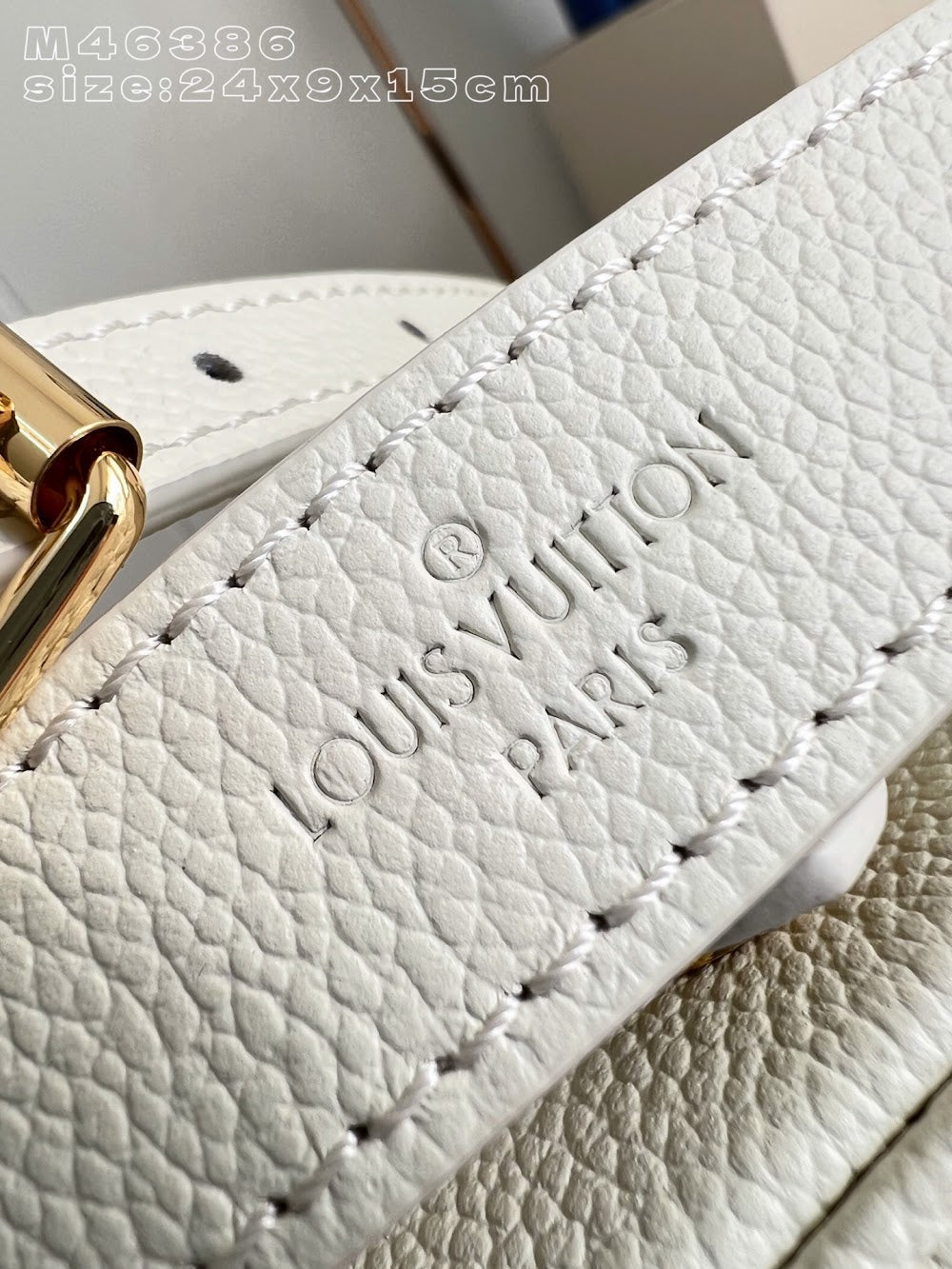 Dragons Bags ln Luxury Bag --96109