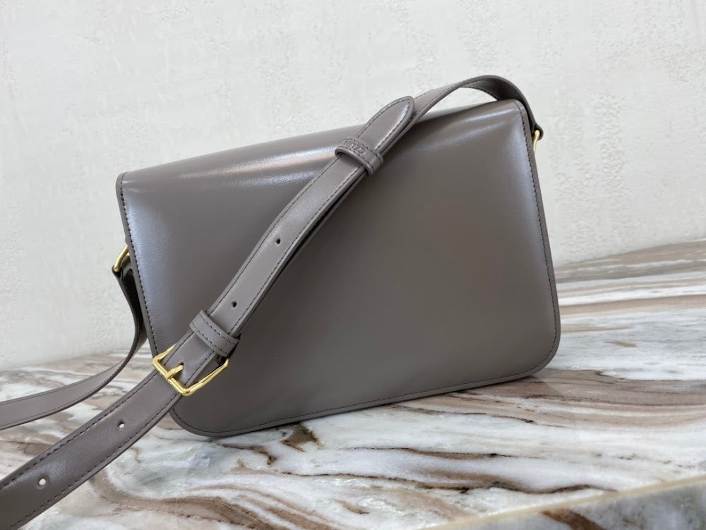 Dragons Bags Celine Luxury Bag --112460