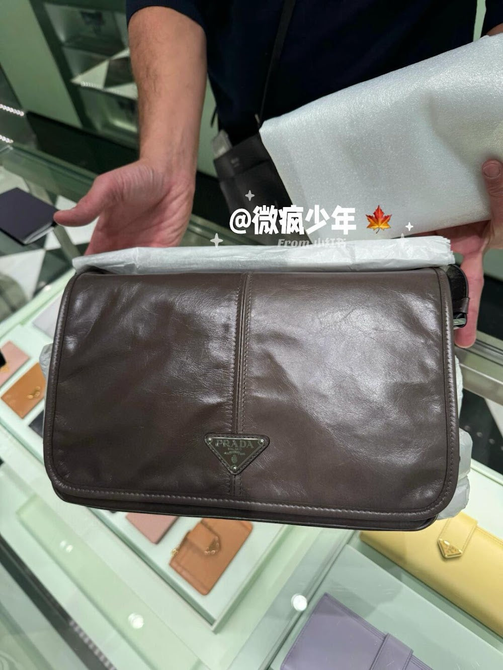 Dragons Bags Pradn Luxury Bag --102950
