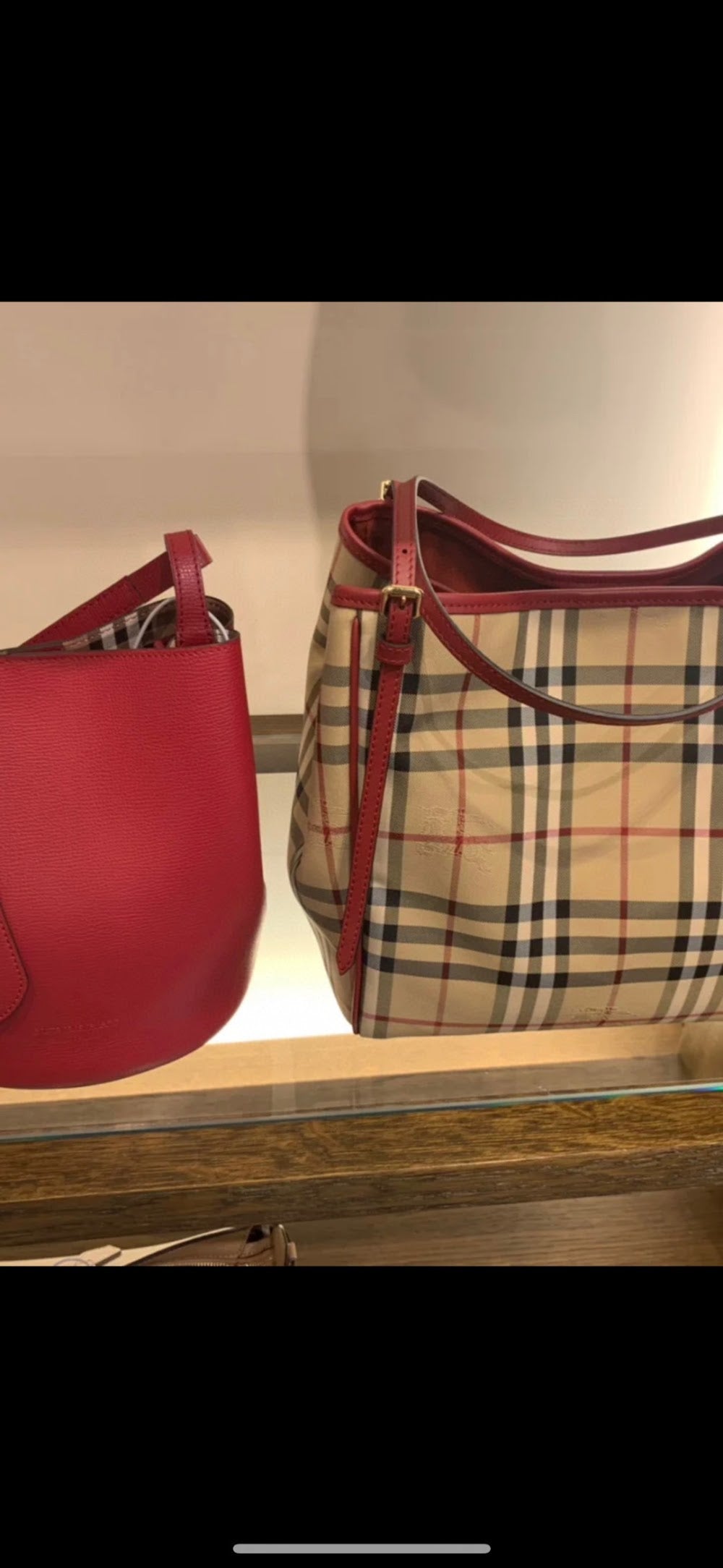 Dragons Bags Burberryn Luxury Bag --92017