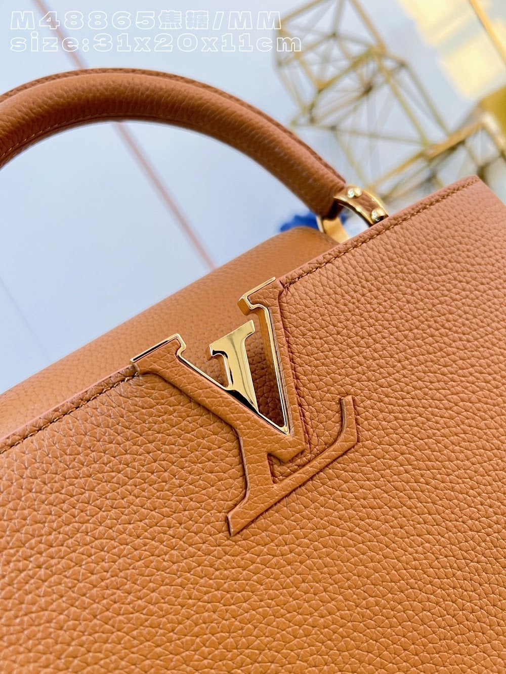 Dragons Bags ln Luxury Bag --95846