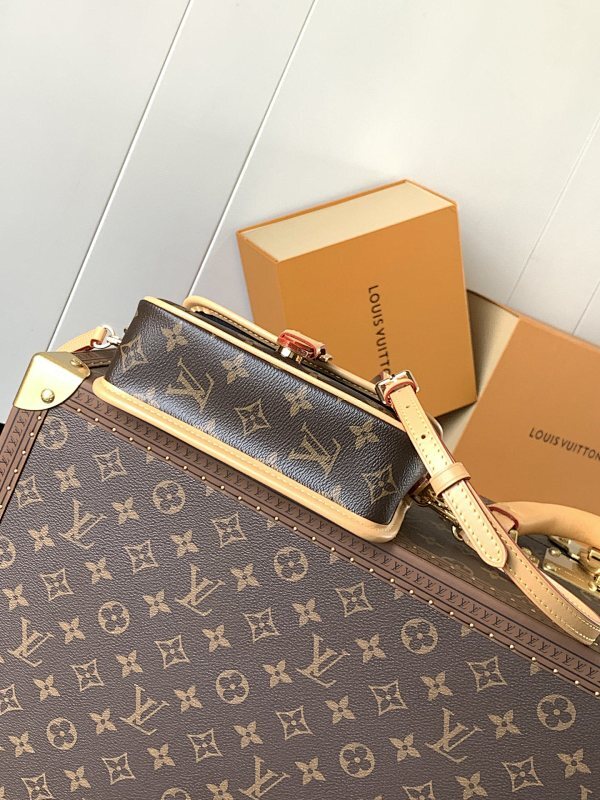 Dragons Bags LVn Luxury Bag --79941