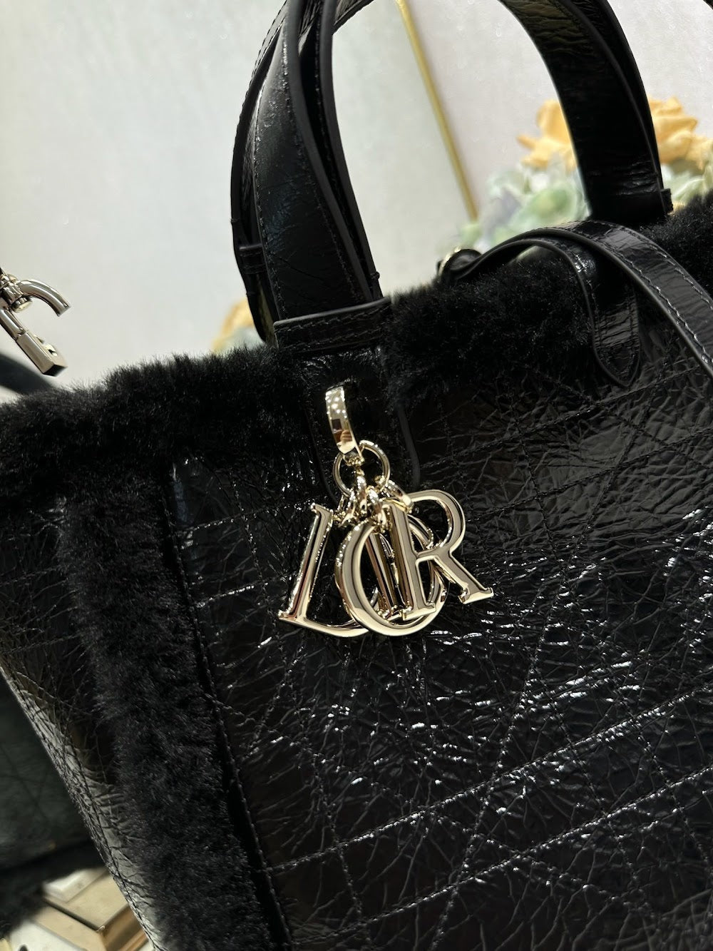 Dragons BagsDiorn Luxury Bag --116332