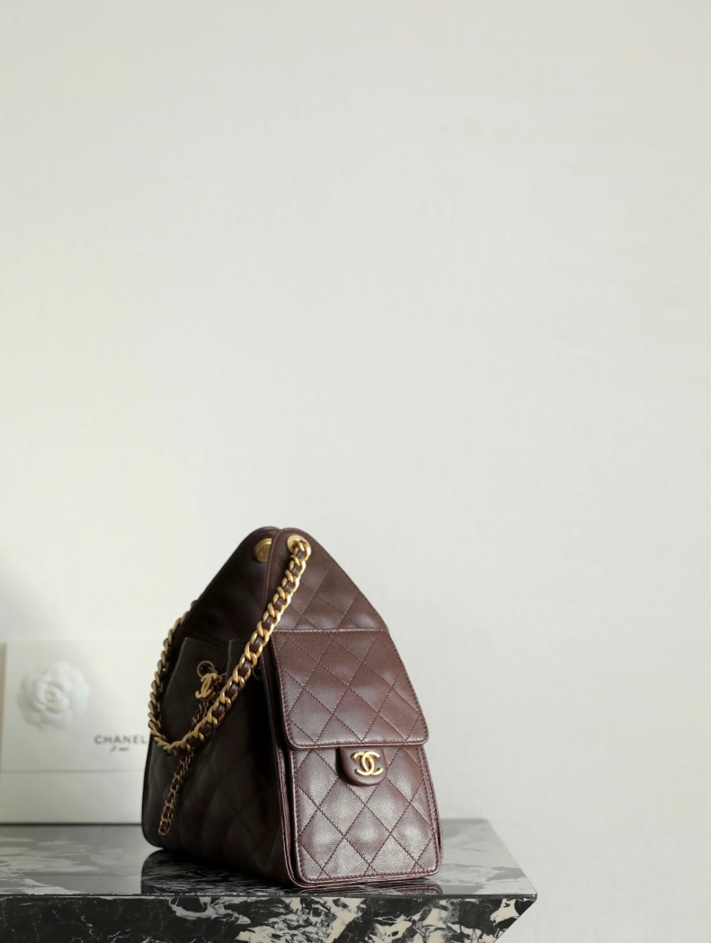 Dragons Bags CHn Luxury Bag --113640