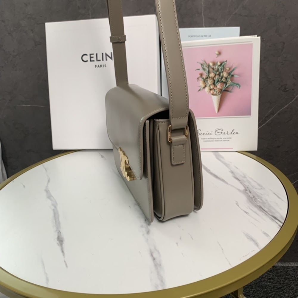 Dragons Bags Celine Luxury Bag --112001