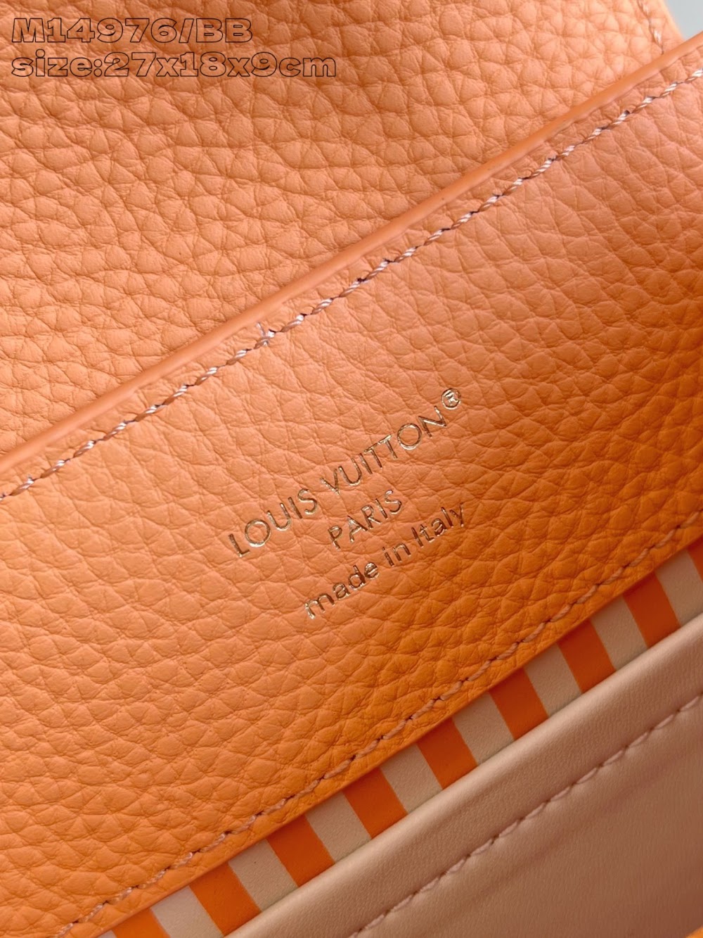 Dragons Bags ln Luxury Bag --97378