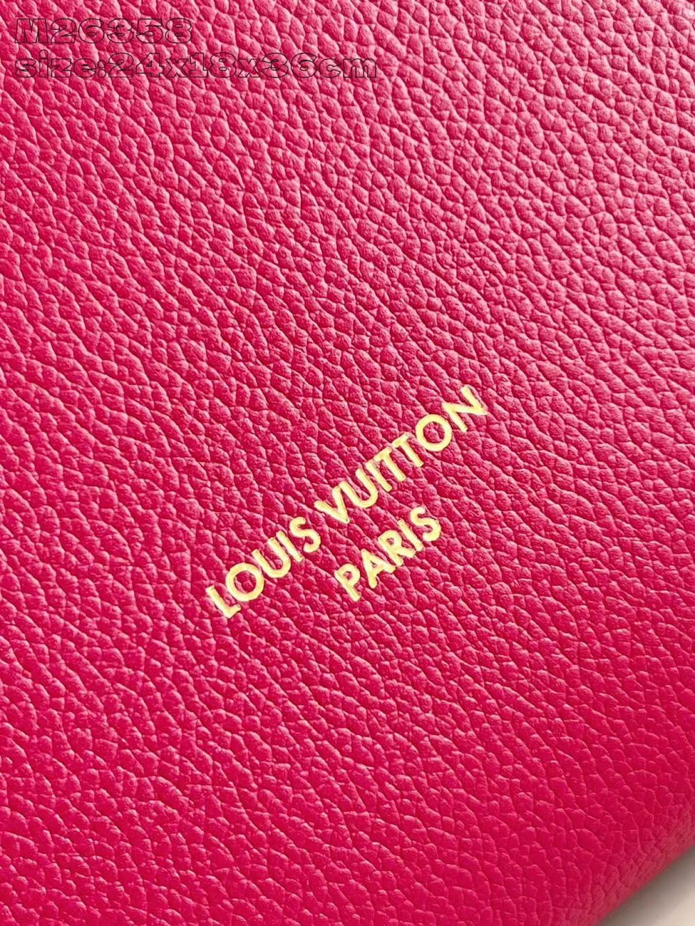 Dragons Bags ln Luxury Bag --95884