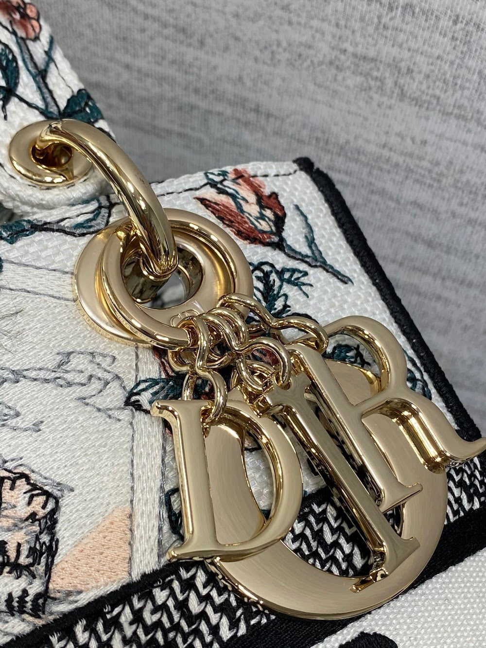 Dragons BagsDiorn Luxury Bag --115456