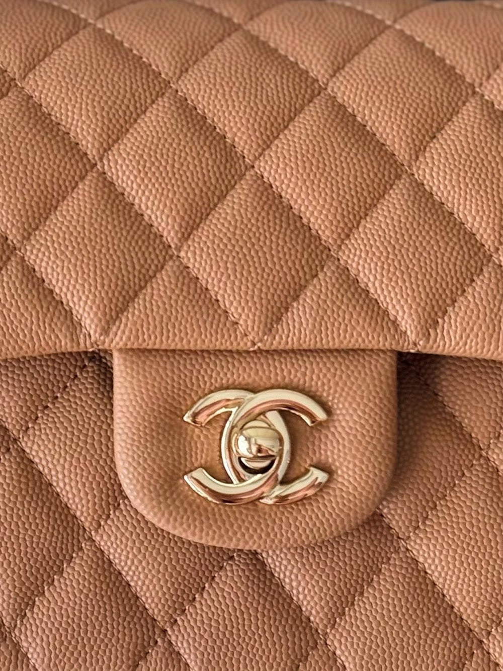 Dragons Bags CHn Luxury Bag --112777