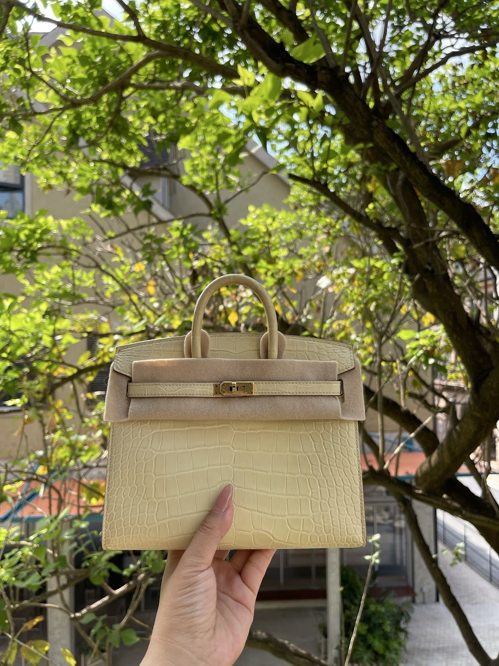 Dragons BagsHermesn Luxury Bag --117790
