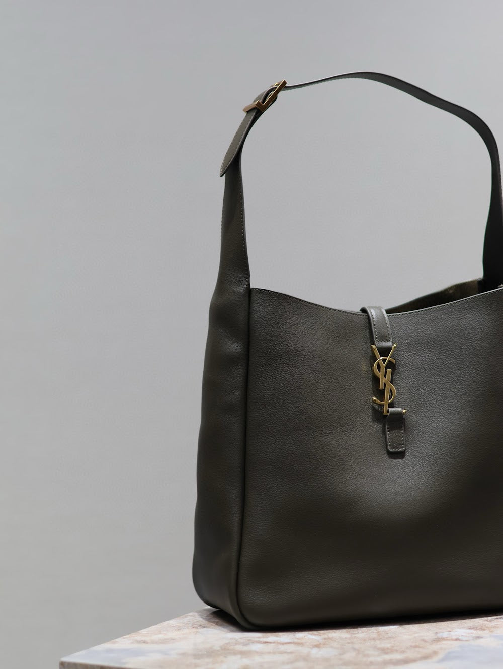 Dragons Bags YSLn Luxury Bag --119231