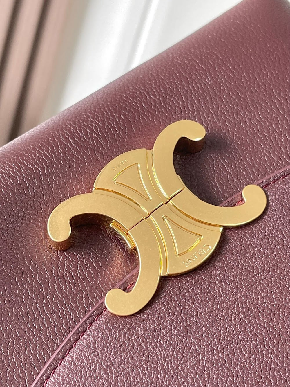 Dragons Bags Celine Luxury Bag --112352