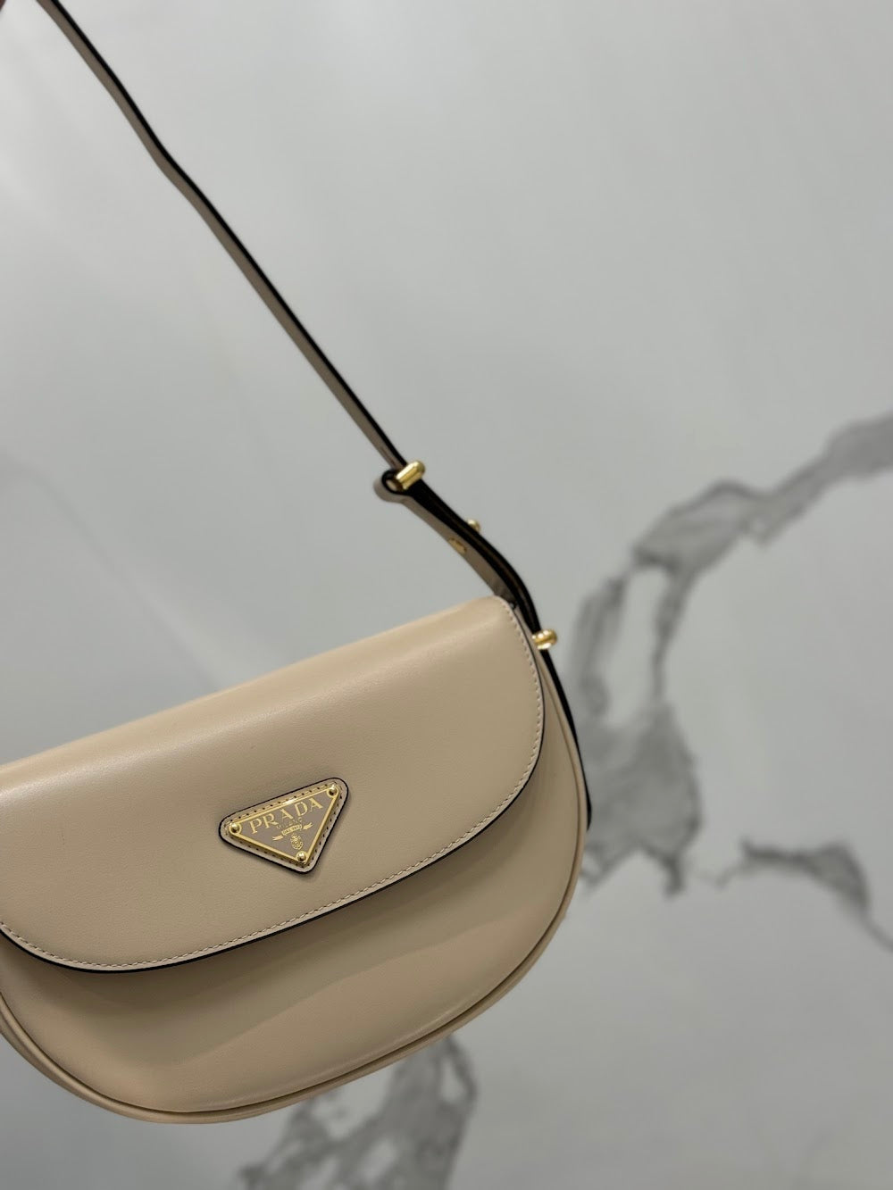 Dragons Bags Pradn Luxury Bag --102087