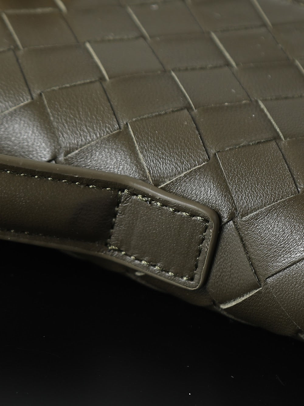Dragons Bags Bottegan Luxury Bag --91395