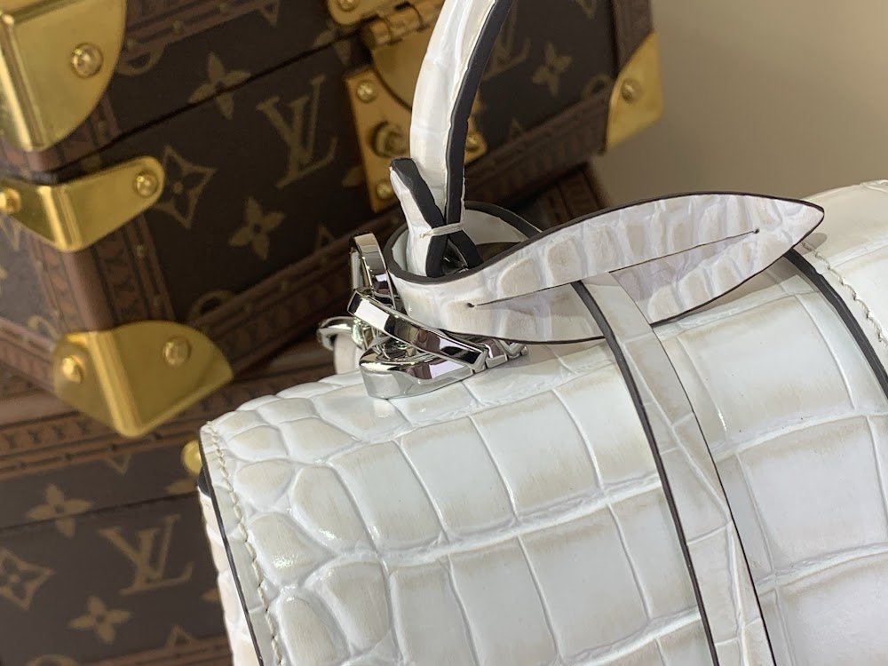 Dragons Bags ln Luxury Bag --96249