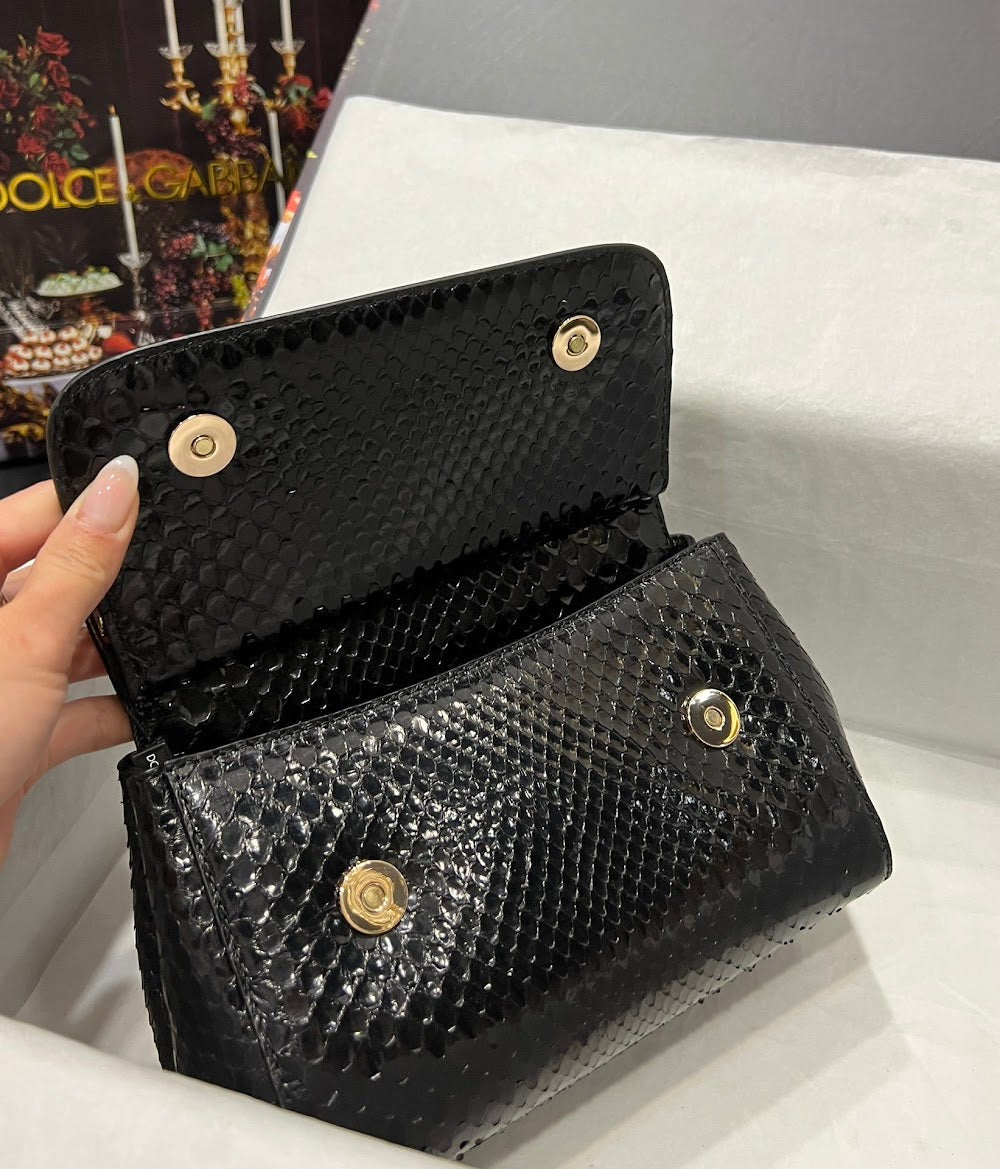 Dragons Bags DGn Luxury Bag --93288