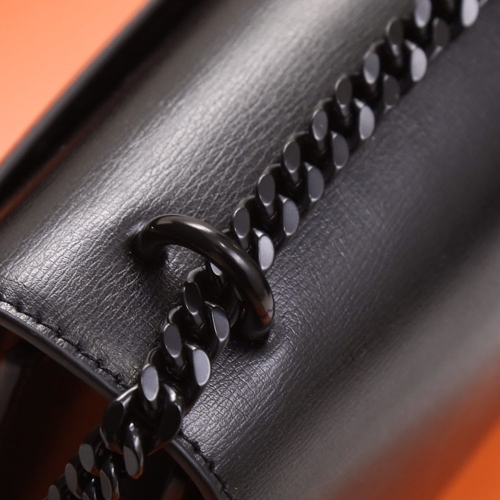 Dragons Bags YSLn Luxury Bag --119501
