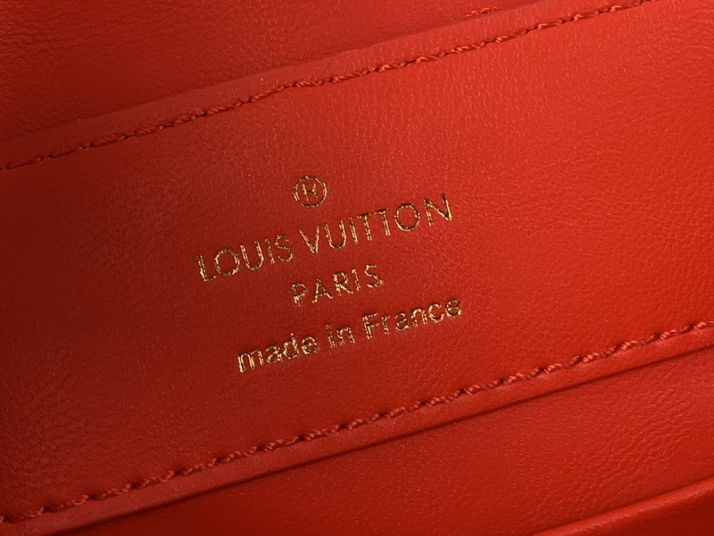 Dragons Bags ln Luxury Bag --62565