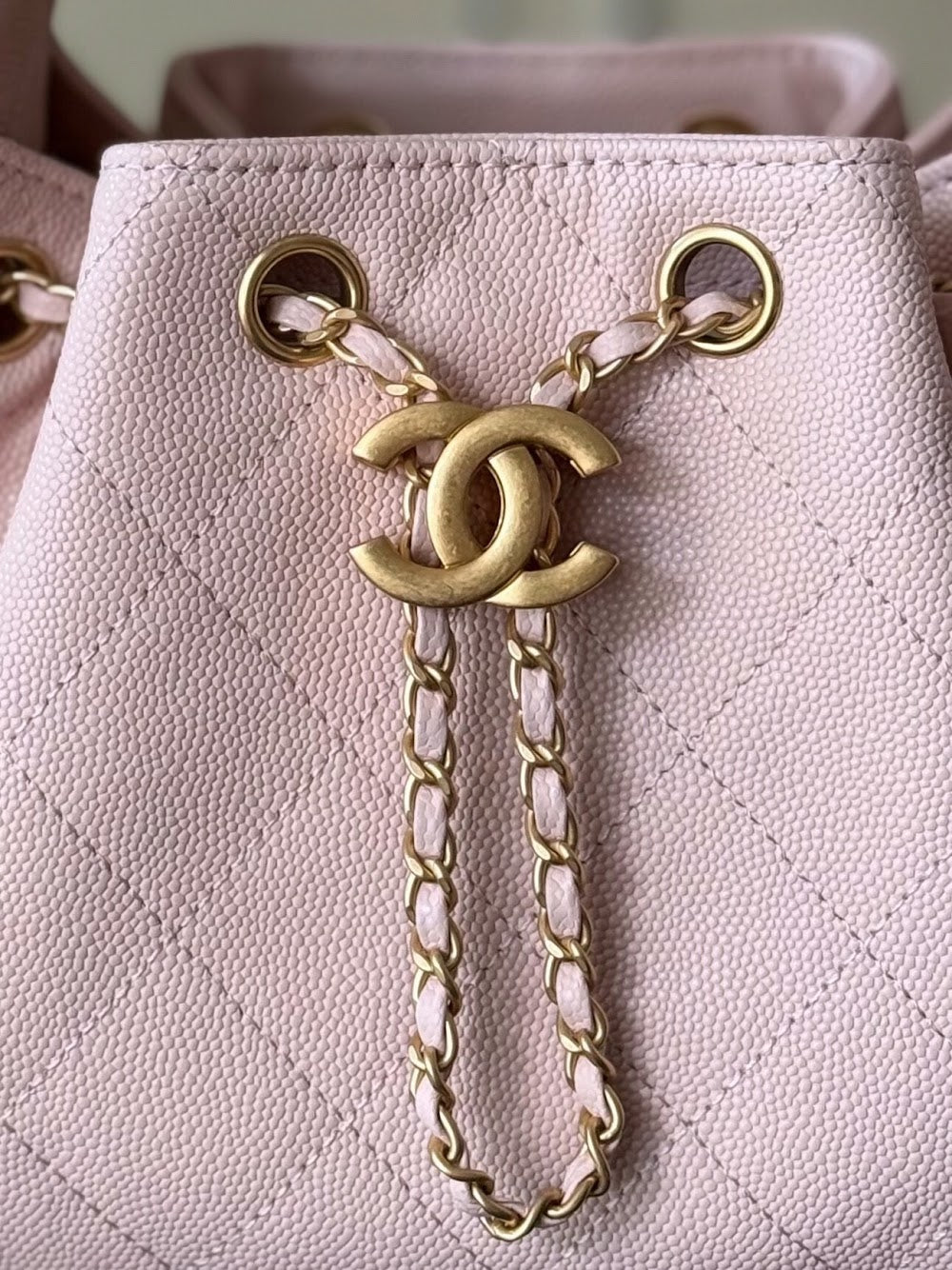 Dragons BagsCHn Luxury Bag --114031
