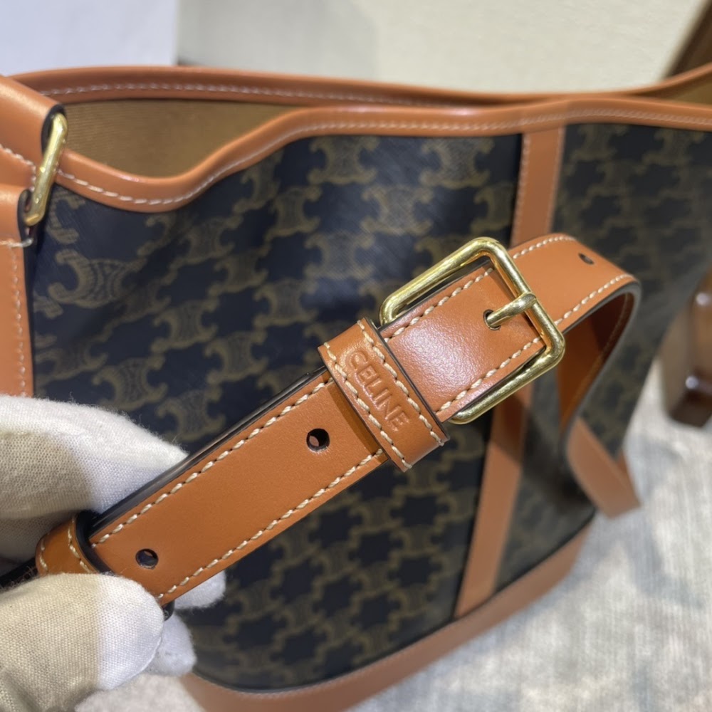 Dragons Bags Celine Luxury Bag --112503