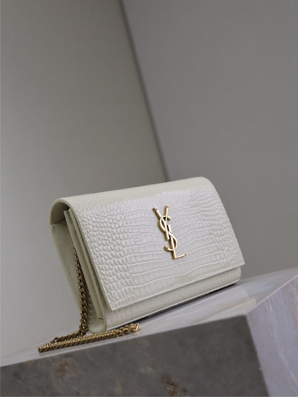 Dragons Bags YSLn Luxury Bag --119660