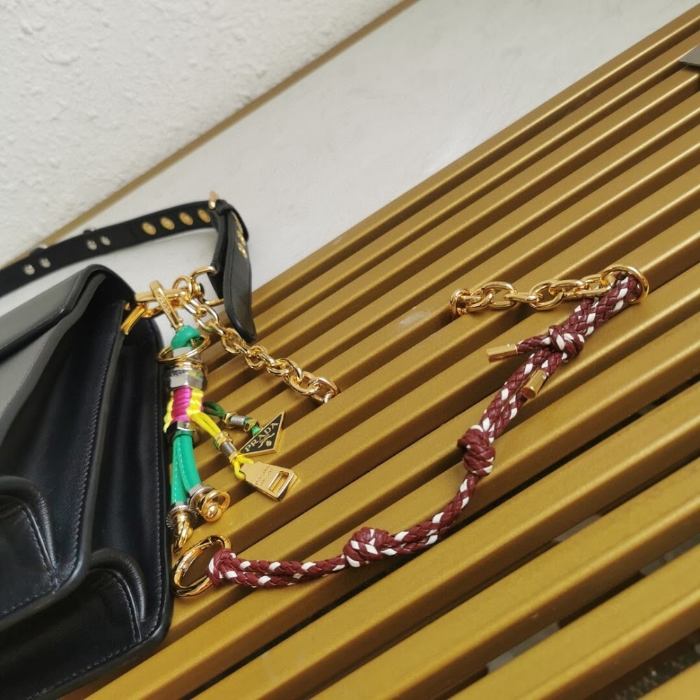 Dragons Bags Pradn Luxury Bag --101736