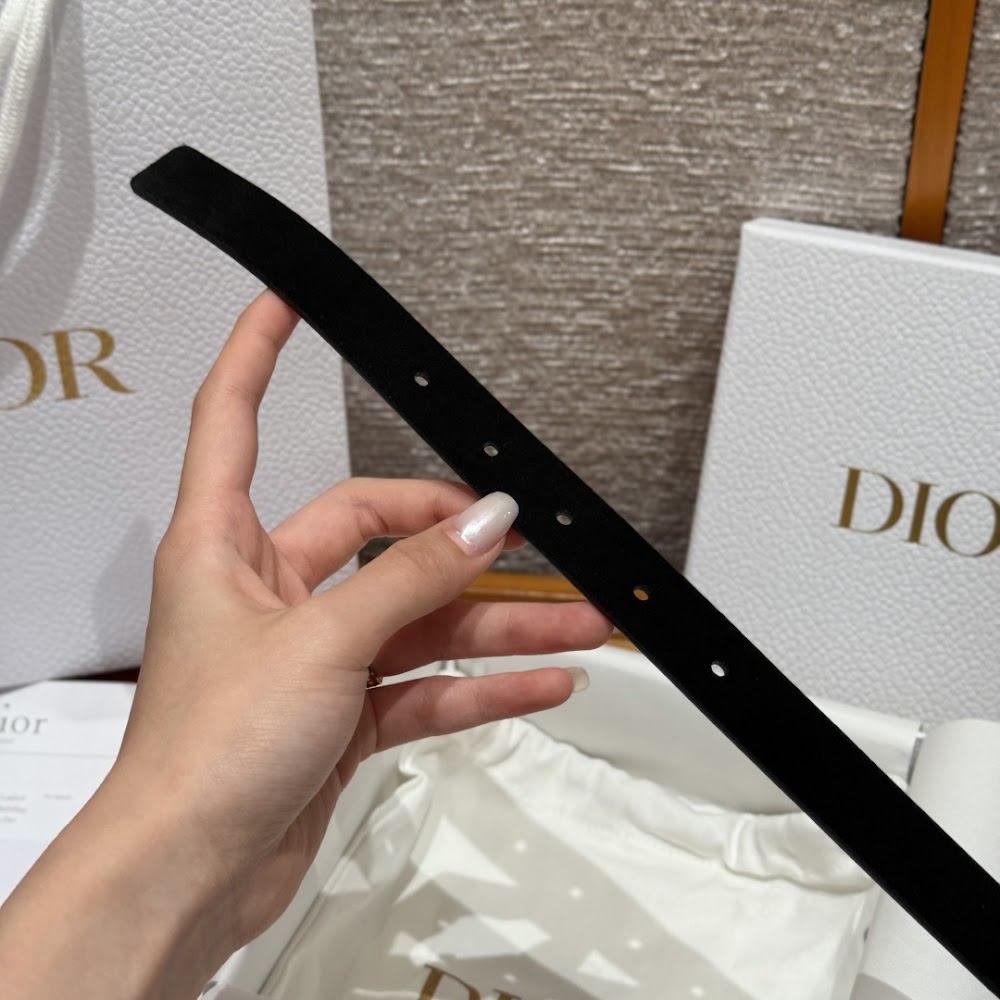Dragons Bags Diorn Luxury Belt --104978