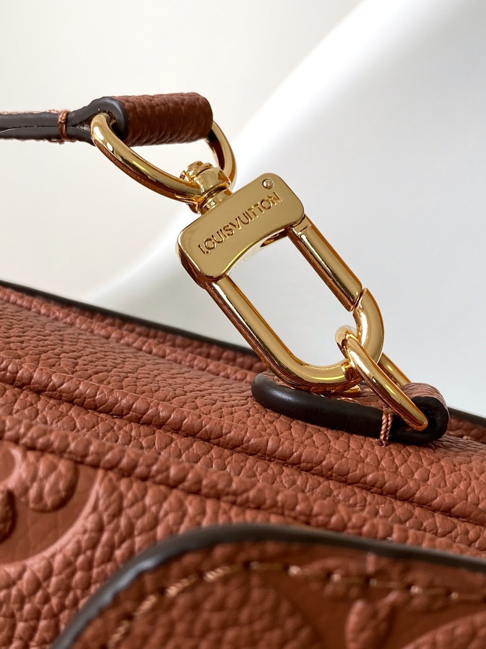 Dragons Bags LVn Luxury Bag --81117