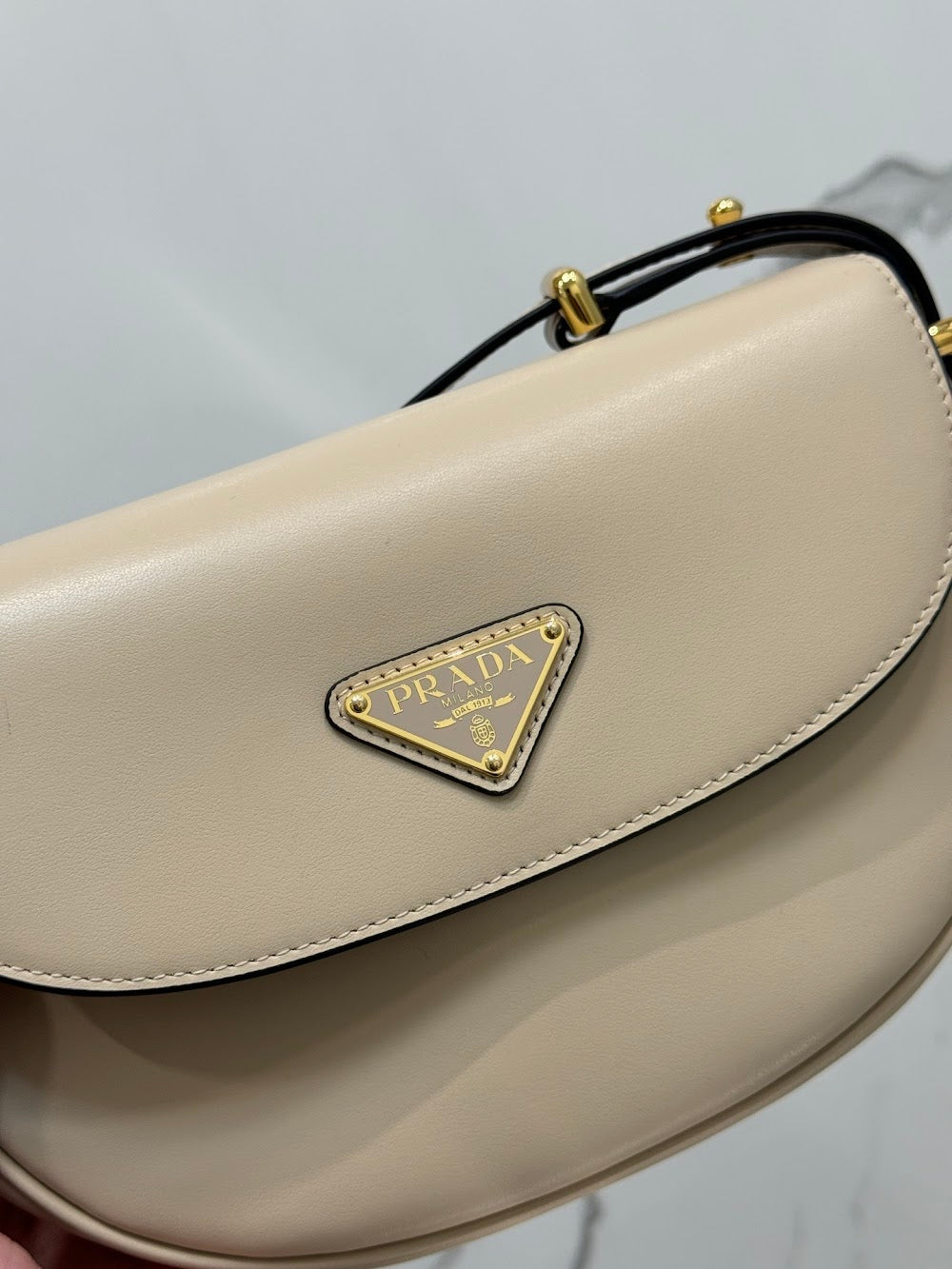 Dragons Bags Pradn Luxury Bag --102087