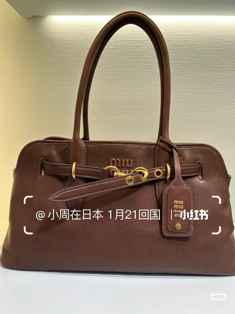 Dragons Bags Miun Miun Luxury Bag --122457
