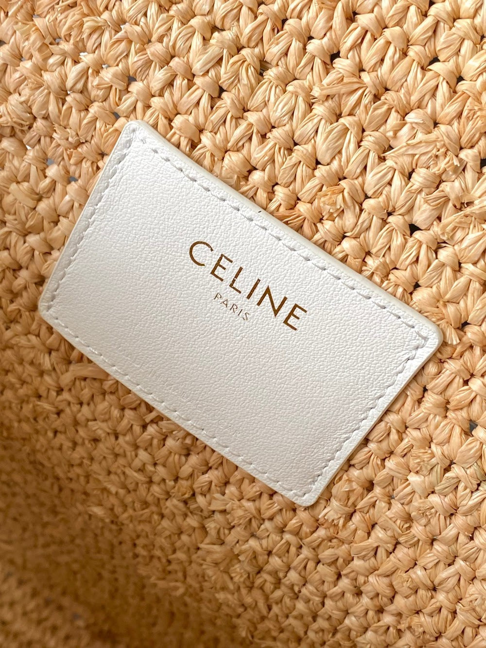 Dragons Bags Celine Luxury Bag --112081
