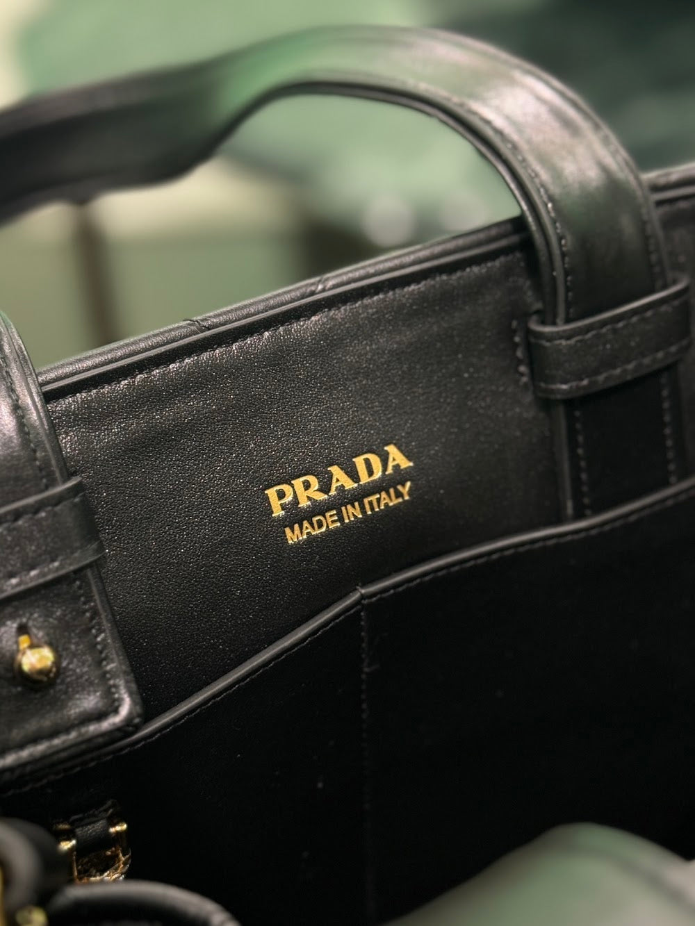 Dragons Bags Pradn Luxury Bag --102961