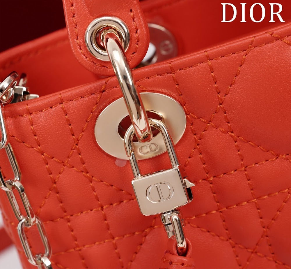 Dragons BagsDiorn Luxury Bag --116450