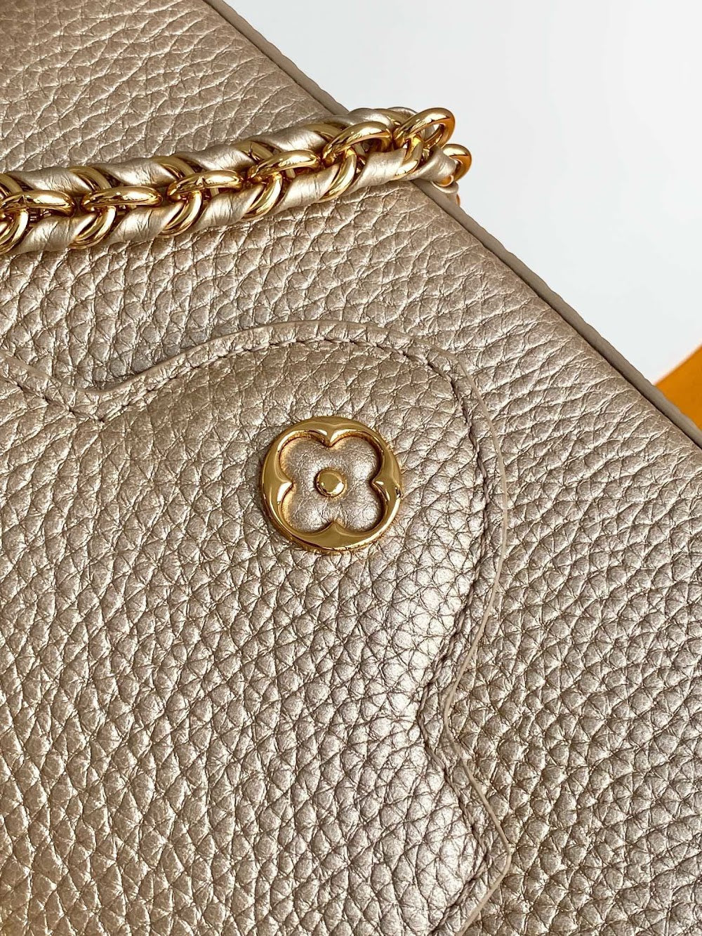 Dragons Bags ln Luxury Bag --96212