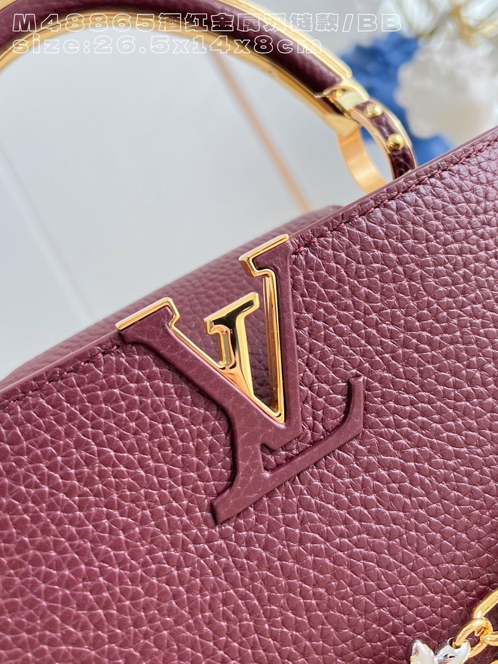 Dragons Bags ln Luxury Bag --95854