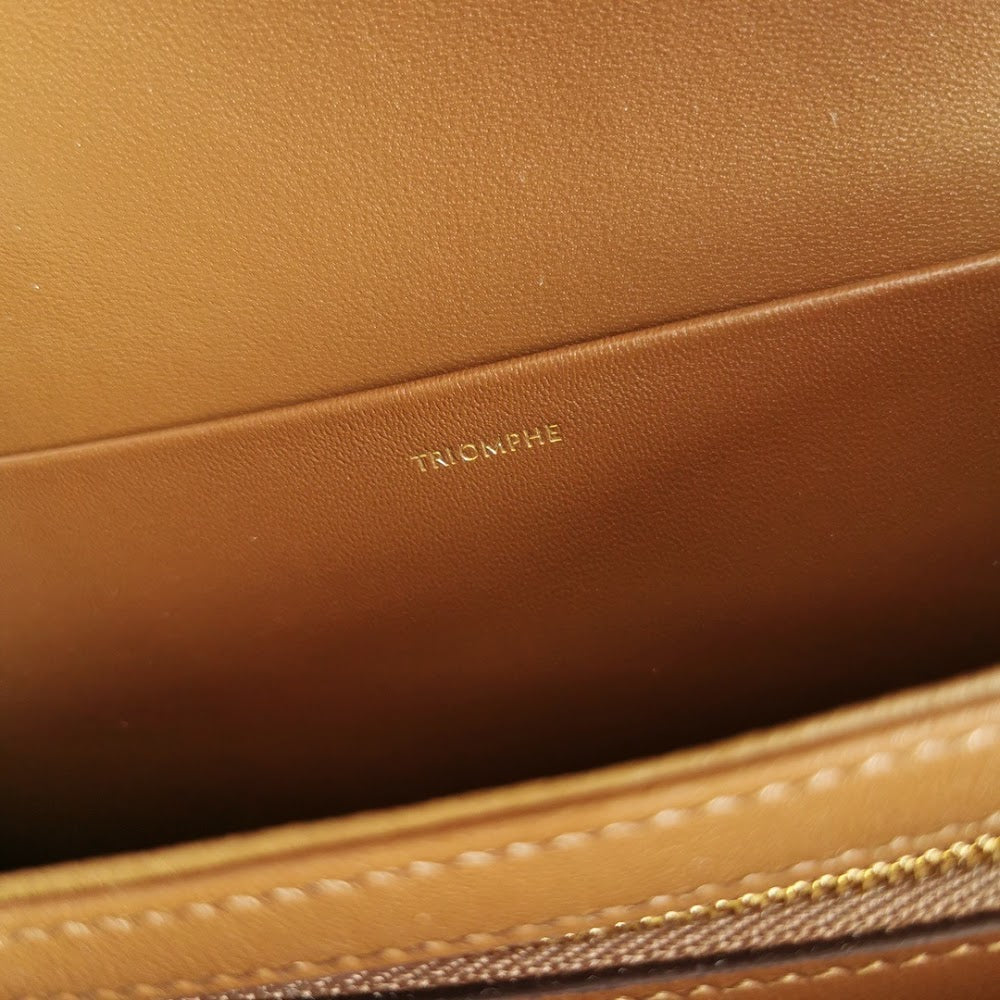 Dragons Bags Celine Luxury Bag --111985