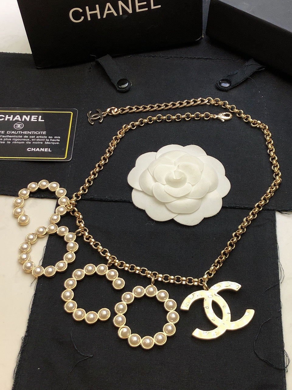 Dragons Bags Luxury Necklace --55585
